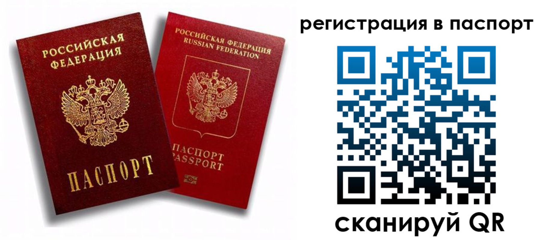 прописка 2025 в Заозёрске